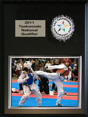 Taekwondo ActionPlaque